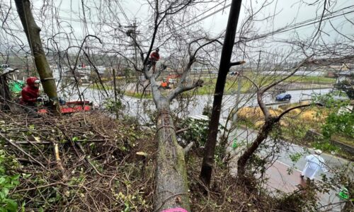 LINE_ALBUM_田上酒店　北区貢町_230322_10